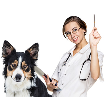 veterinar.jpg